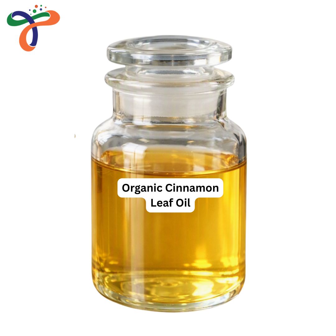 Organic Cinnamon Leaf Oil